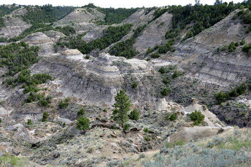 Montana's Makoshika State Park